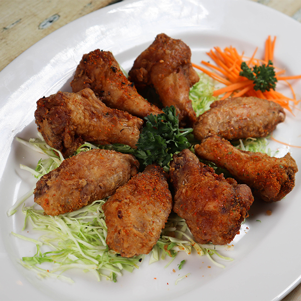 SHOGA WINGS
